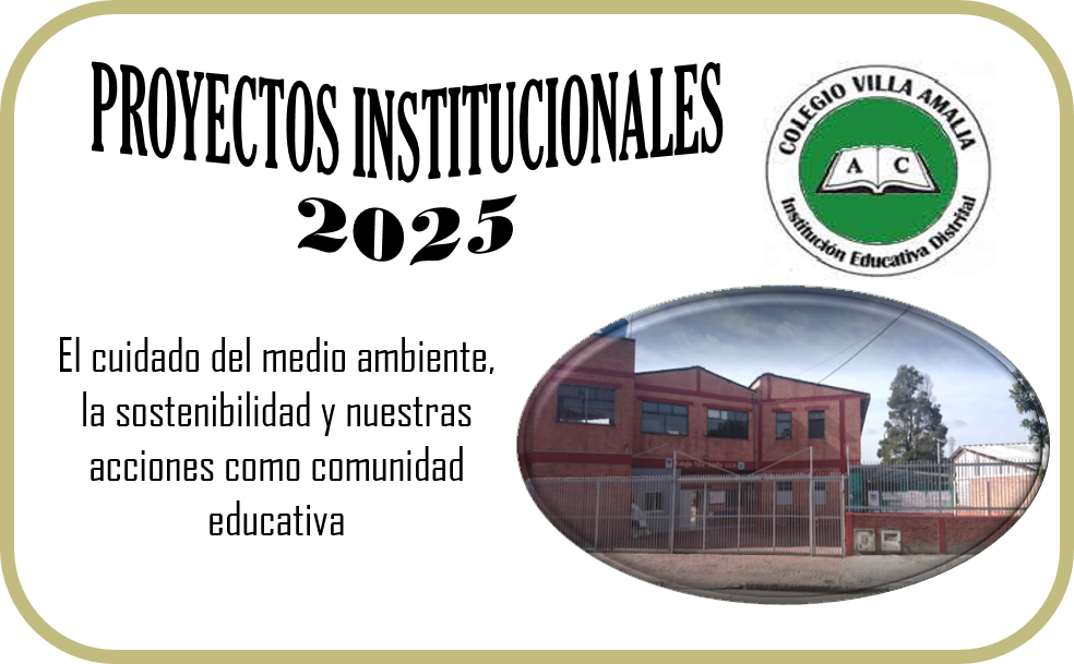 Proyectos Institucionales 2025
