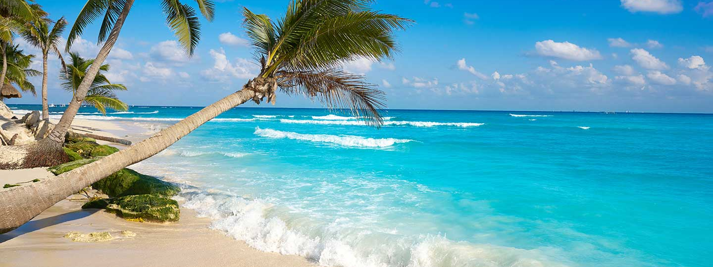 Vacaciones de mitad de año