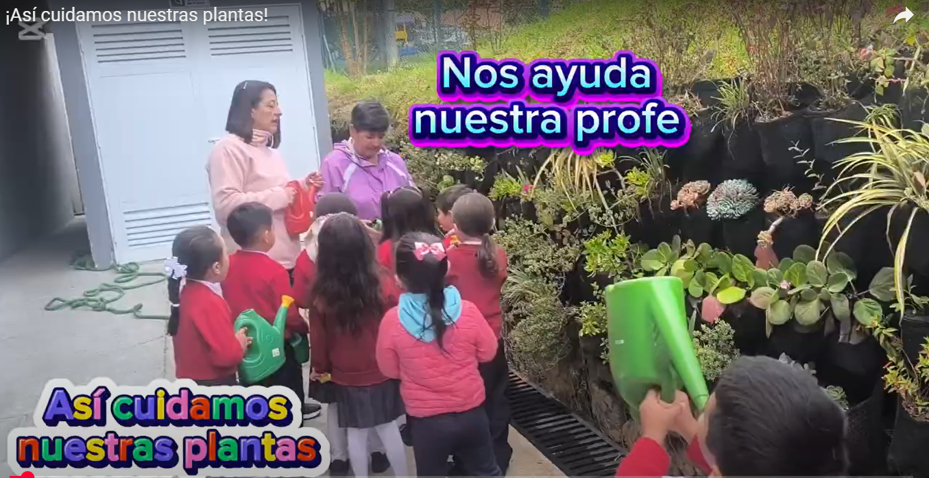 ¡Así cuidamos nuestras plantas!