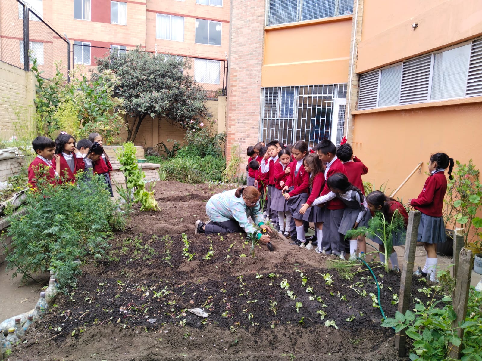 Nuestra huerta el paraiso