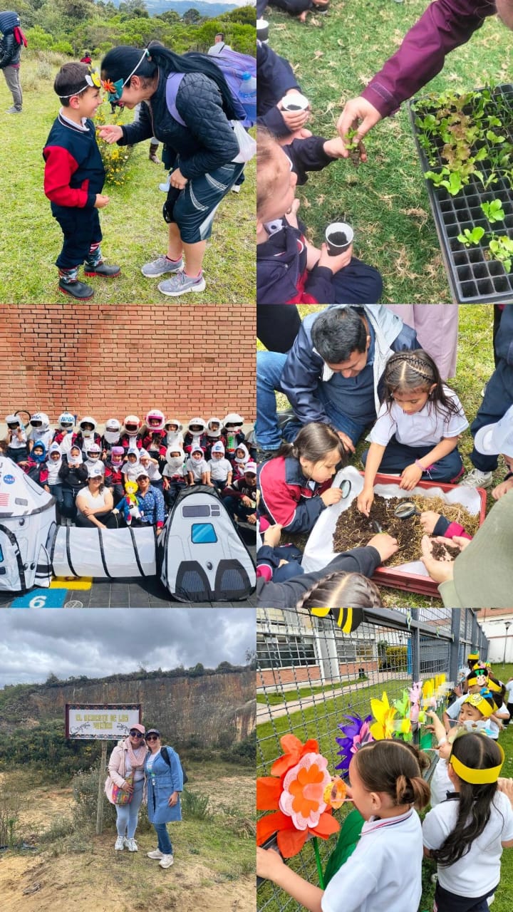 proyecto el principito