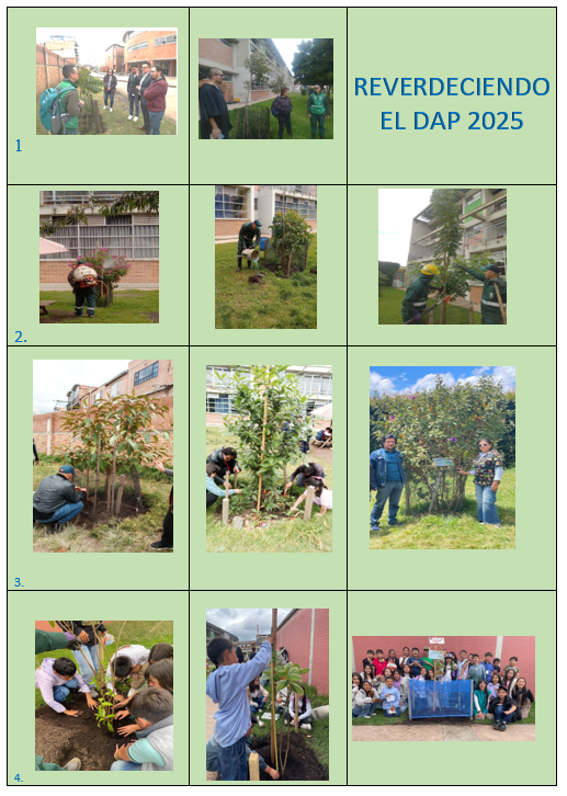 reverdeciendo el dap