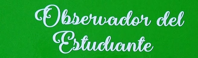 FORMATO OBSERVADOR DEL ESTUDIANTE