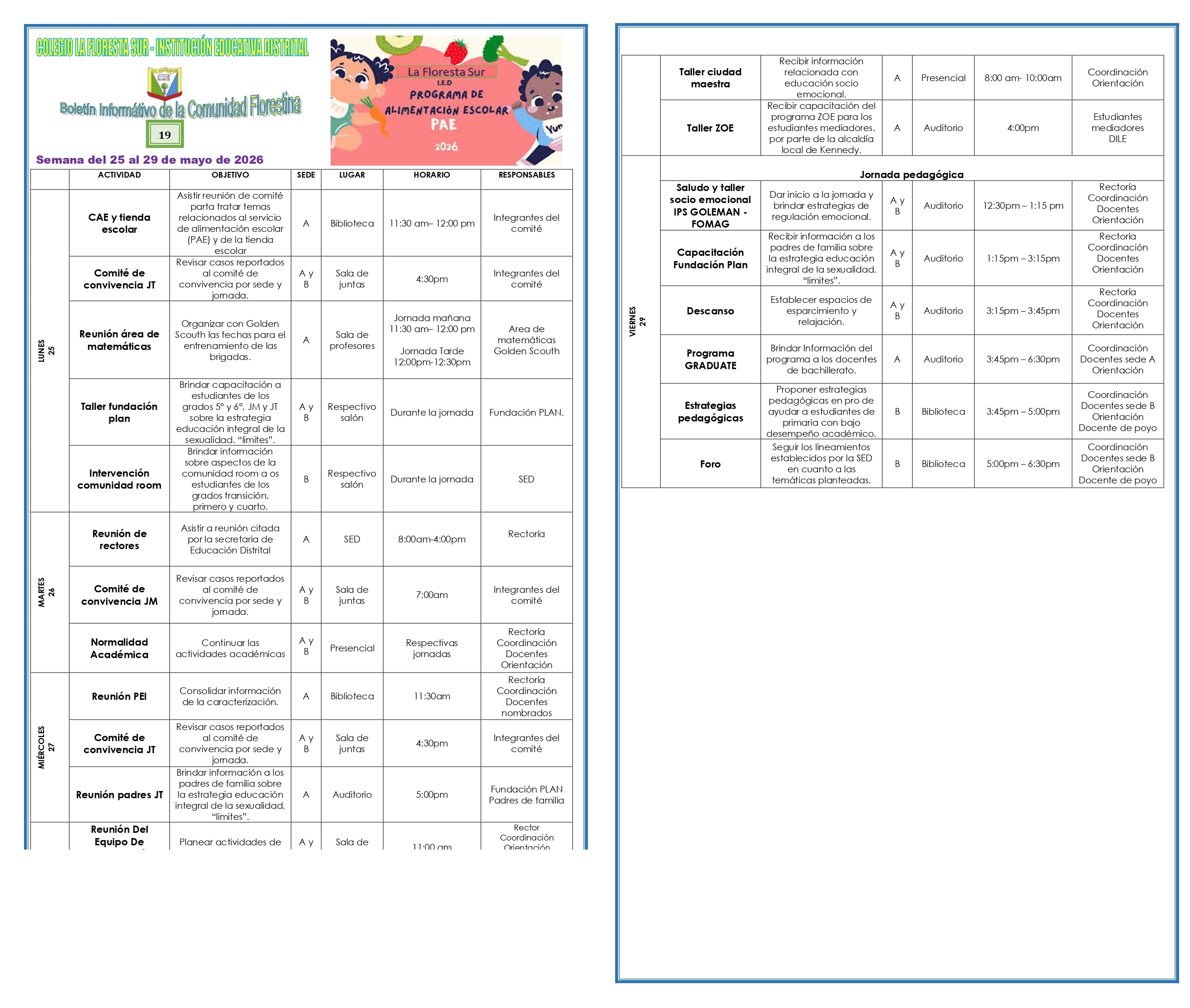 Boletín 19