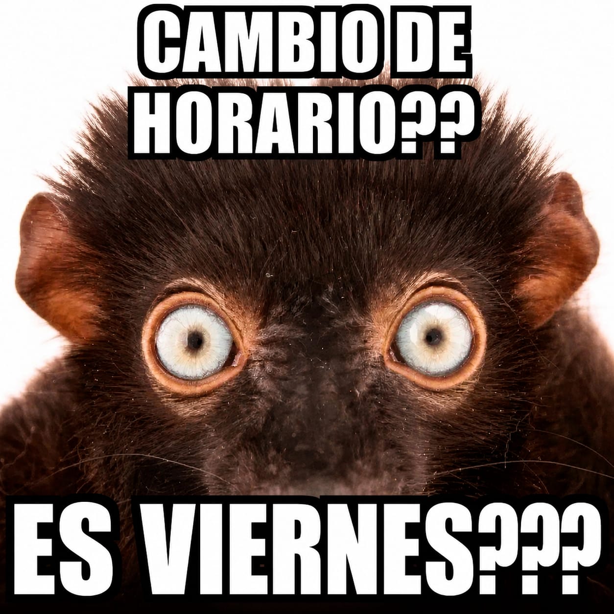 Otra vez 19 de mayo se siente viernes y así lo vamos a tratar (en el horario, al menos). 🗓️✨