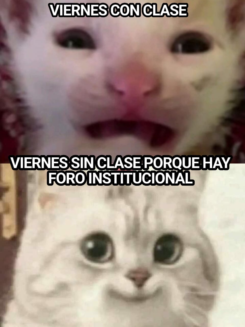 ¡Atención, comunidad de Usaquén! Este viernes 29 de mayo NO hay clase de Preescolar a 9°🥳💃