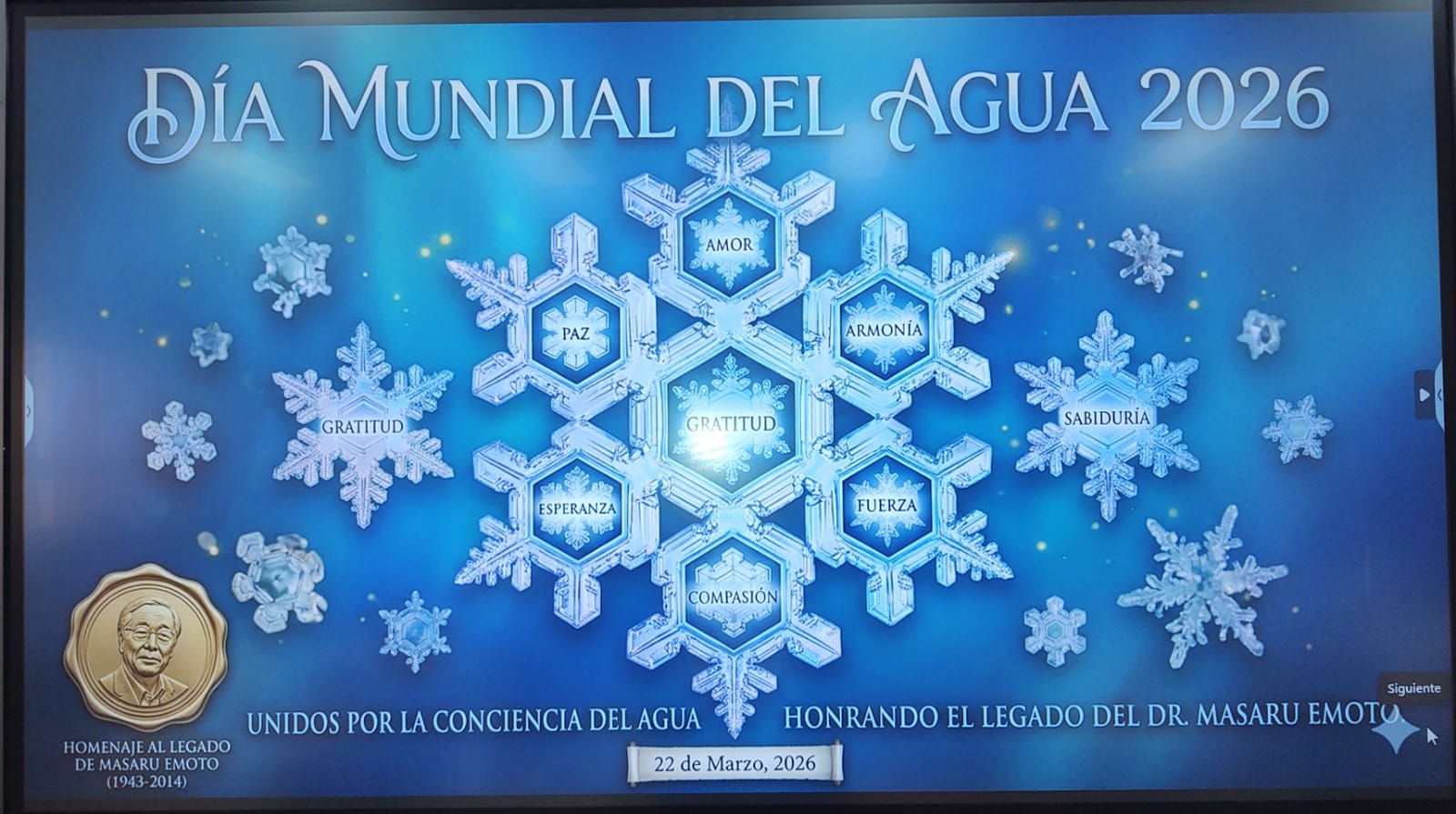DIA DEL AGUA