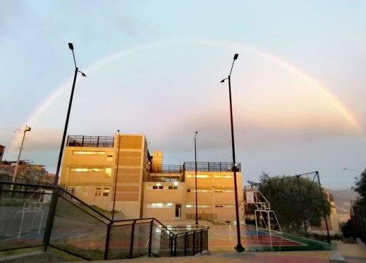 COLEGIO ARBORIZADORA ALTA